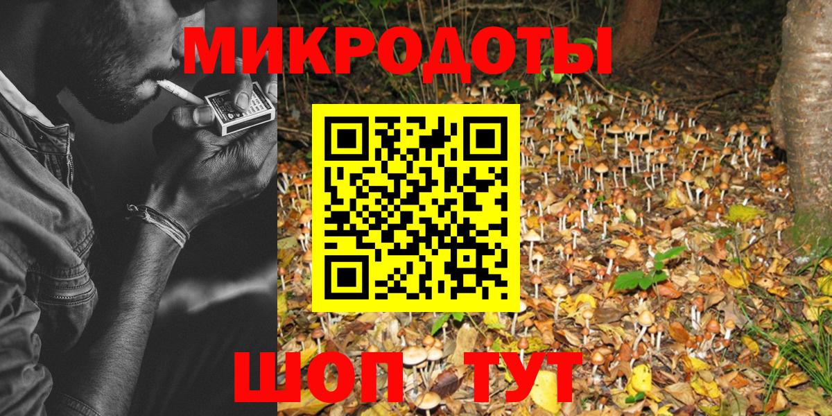 закладки  Вход с VPN  Лесозаводск  Галлюциногенные грибы Psilocybe 