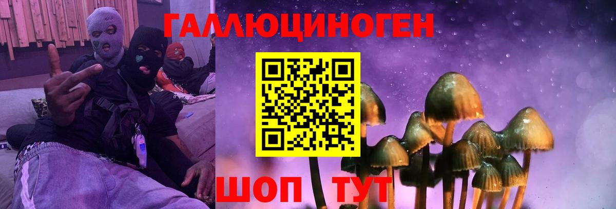 Галлюциногенные грибы GOLDEN TEACHER Лесозаводск